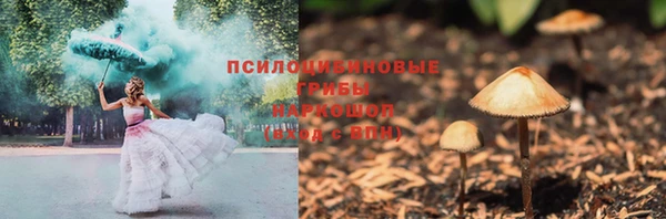 первитин Новозыбков