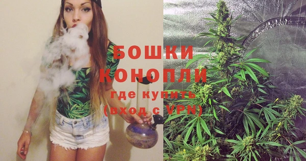 первитин Новозыбков