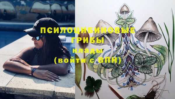 первитин Новозыбков