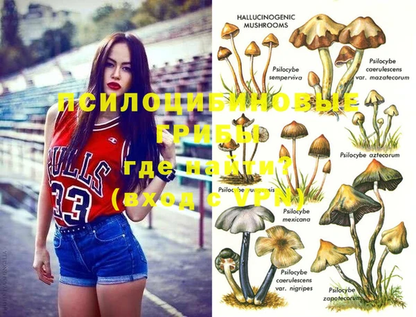 мескалин Нефтегорск