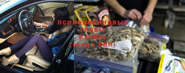 марки lsd Новодвинск